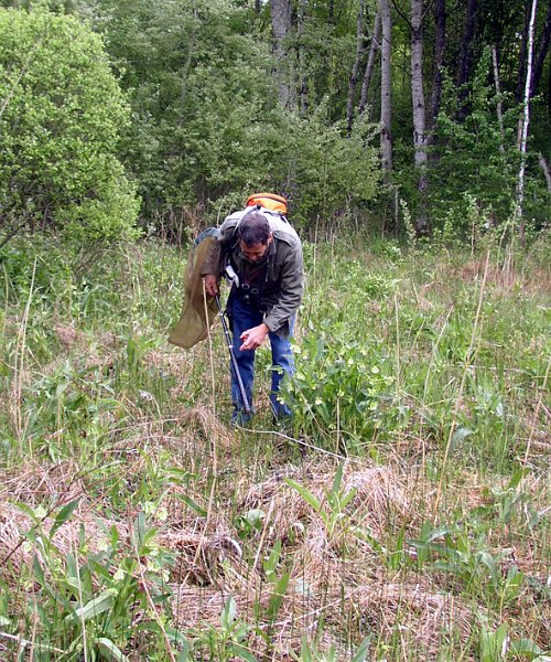 2009 Marais de la Voise 06